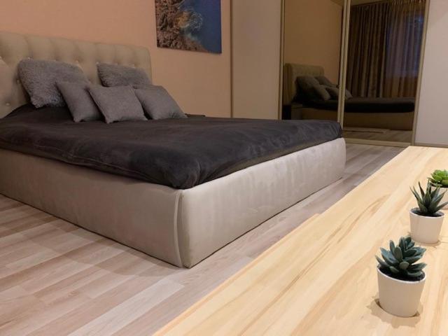 Oak Lounge Lux Apartment 리가 외부 사진