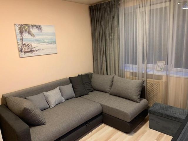 Oak Lounge Lux Apartment 리가 외부 사진